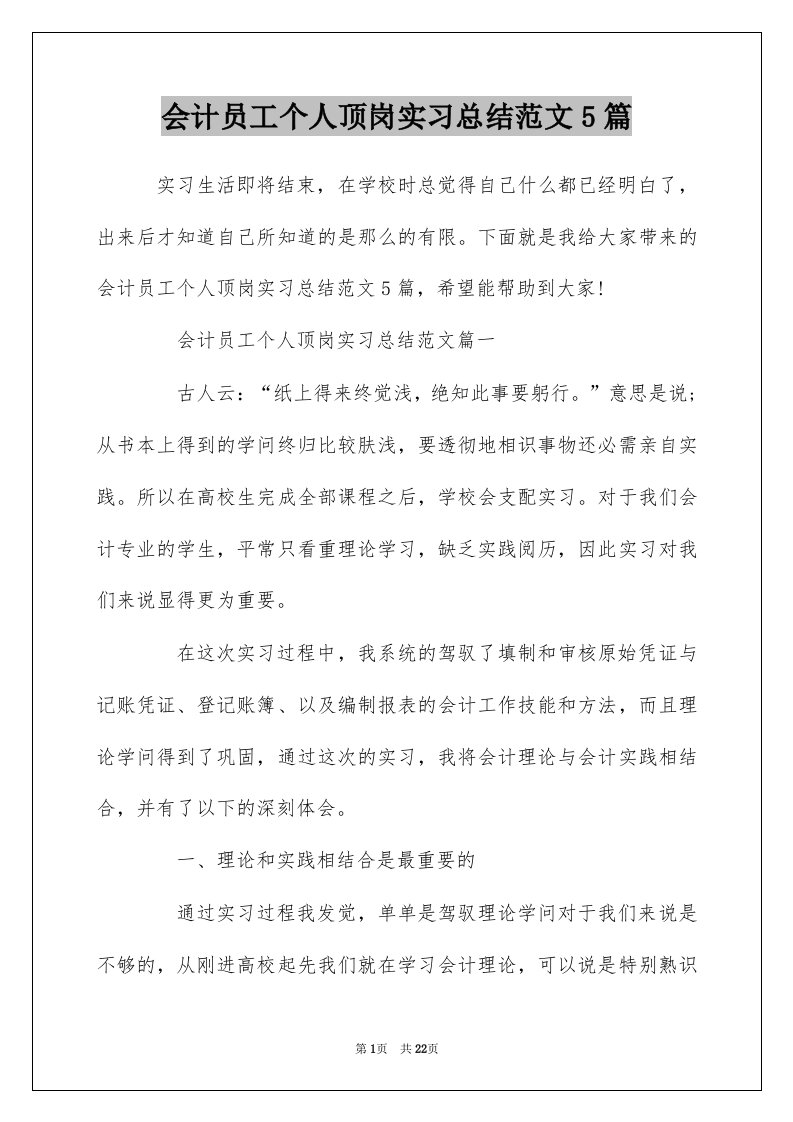 会计员工个人顶岗实习总结范文5篇