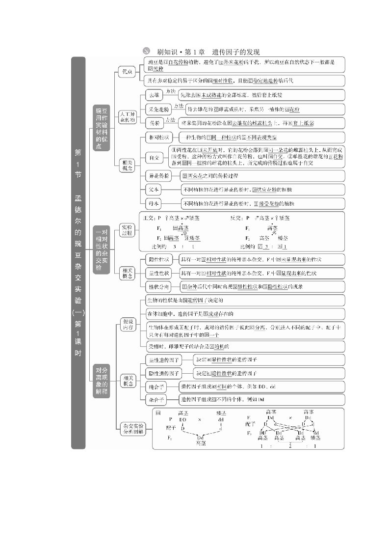 新教材2023版高中生物刷知识新人教版必修2