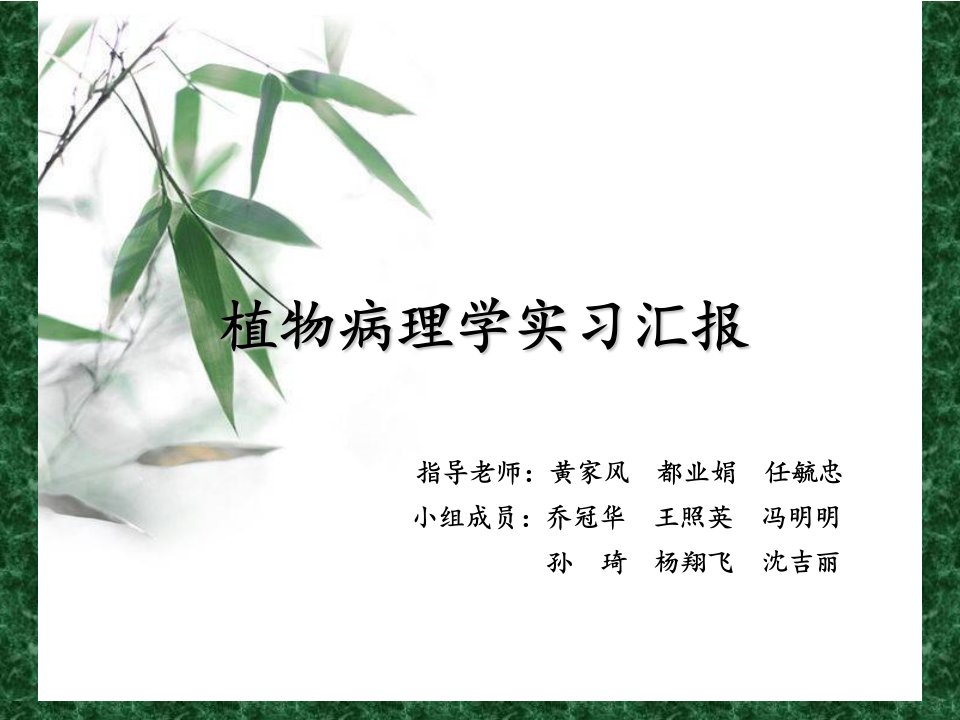 植物病理学实习汇报