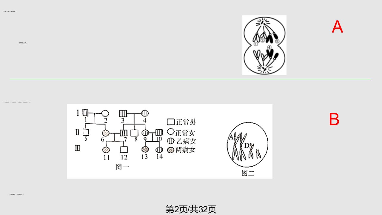 遗传基本规律伴性遗传习题