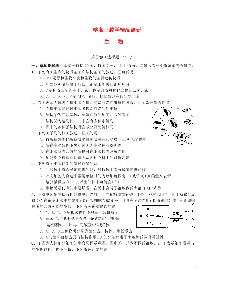 江苏省泰兴市第一高级中学高三生物下学期学情监测试题