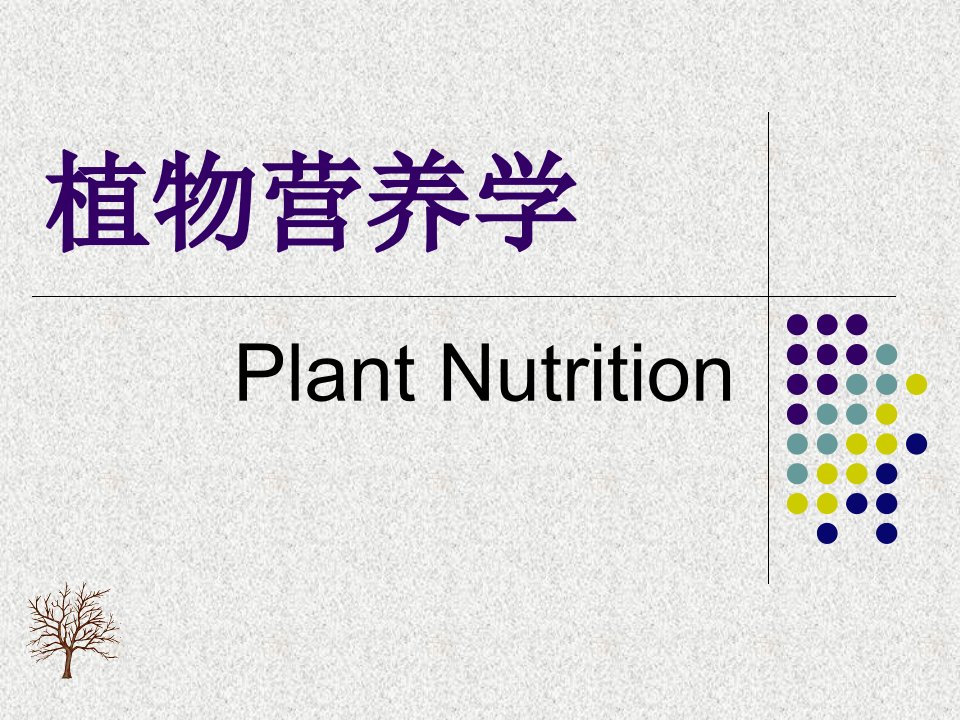 01植物营养学-PPT课件（精心整理）