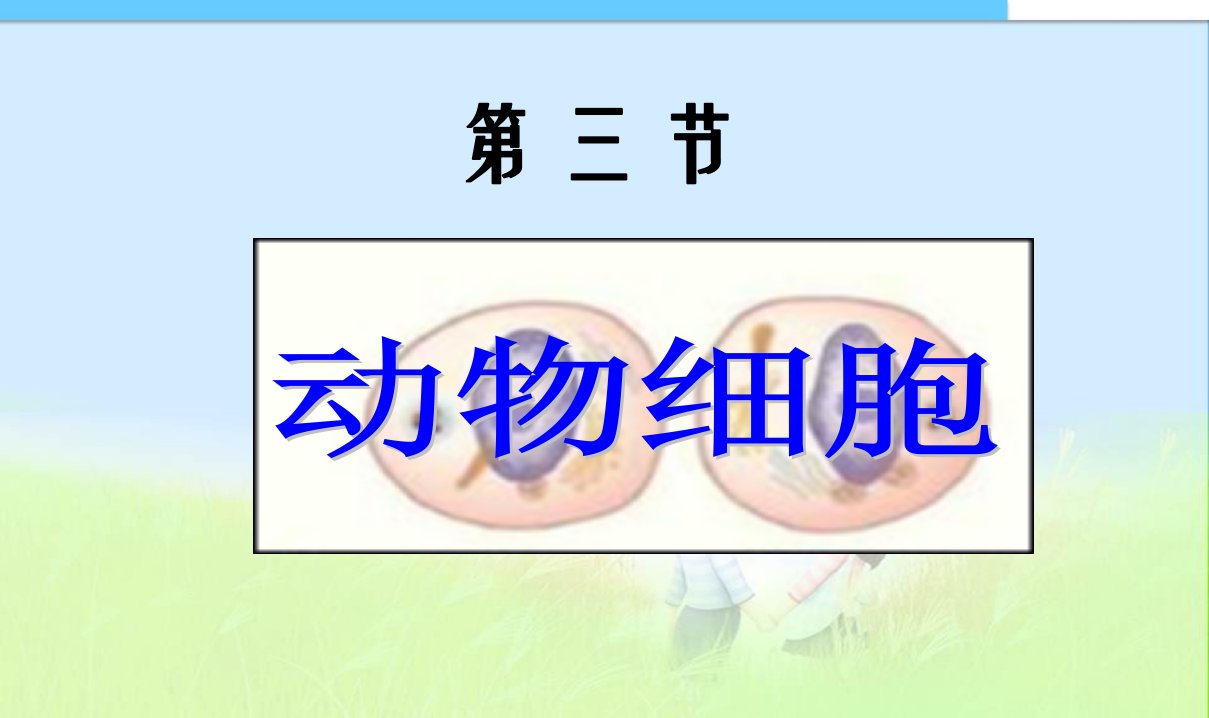 初中人教版七年级上册生物课件第三节