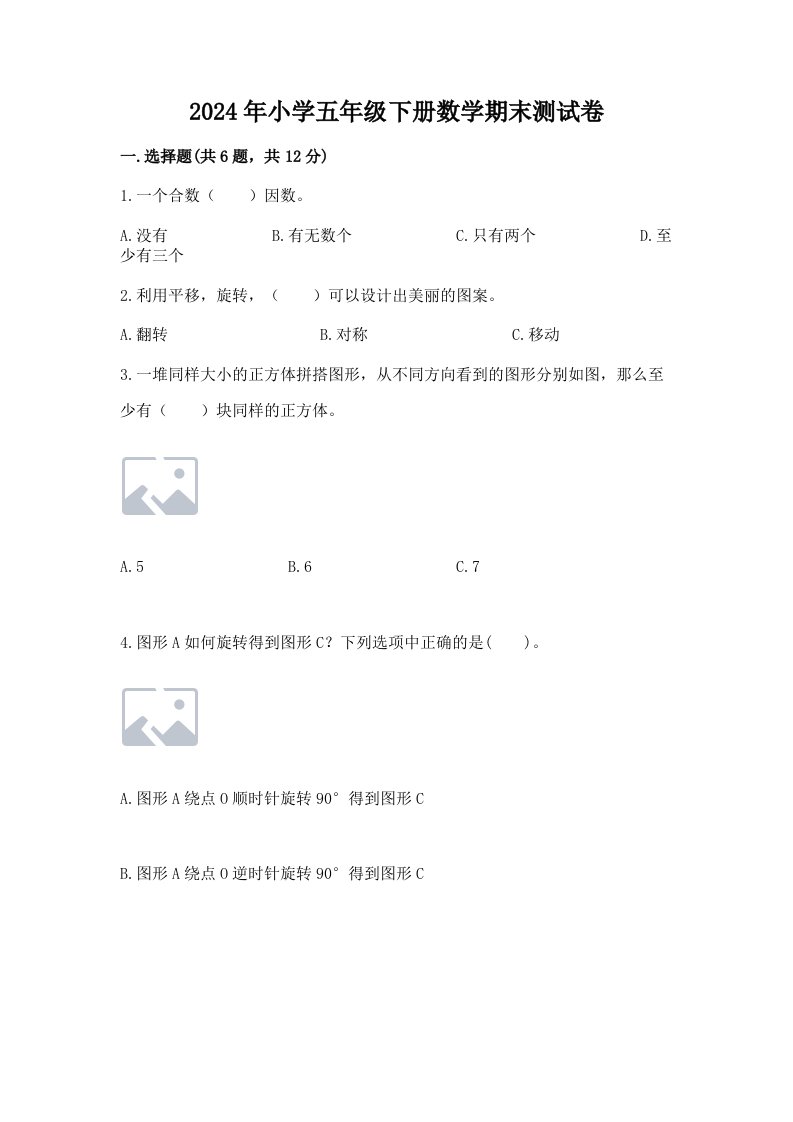 2024年小学五年级下册数学期末测试卷附答案【巩固】