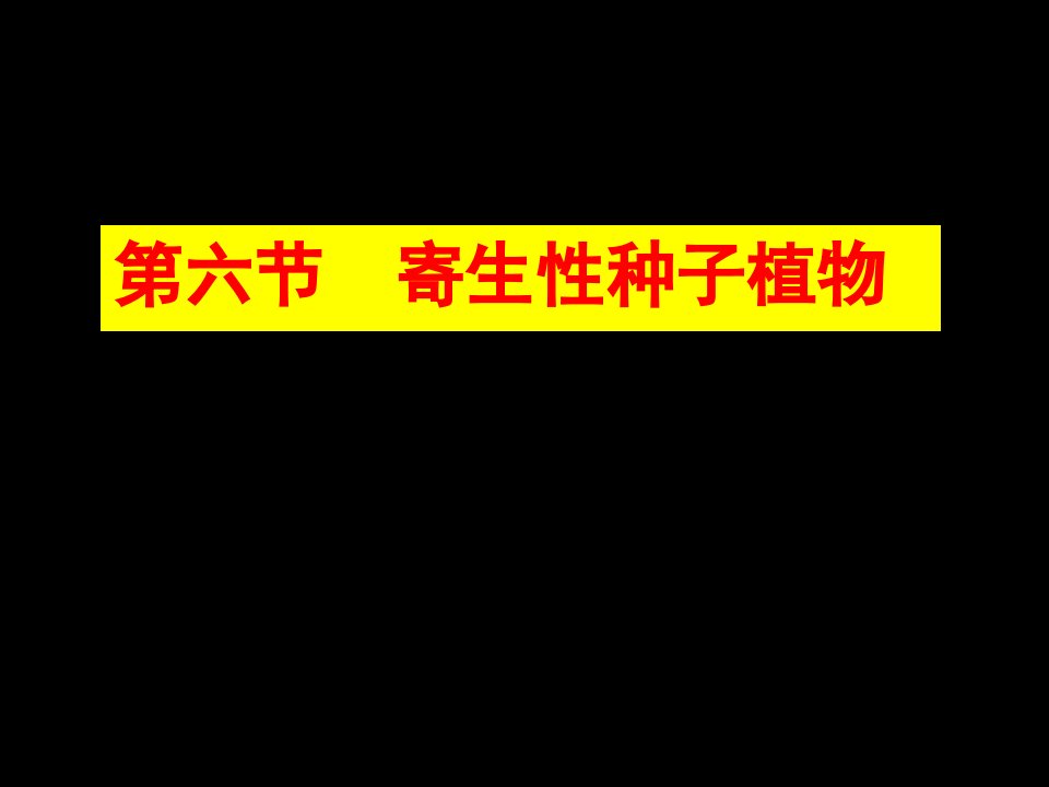 园林植物病理学第三章寄生性种子植物