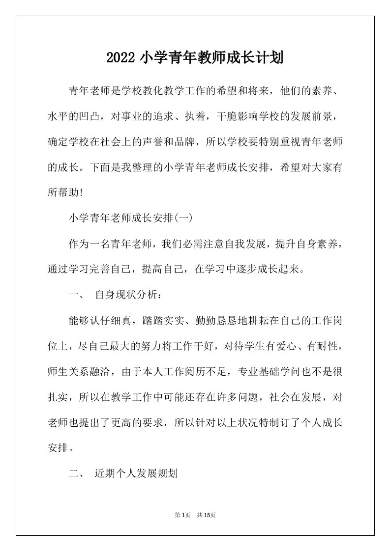 2022年小学青年教师成长计划