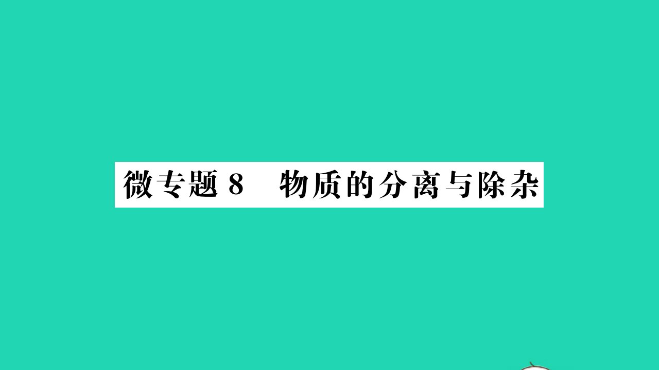 2022九年级化学下册微专题8物质的分离与除杂习题课件新版鲁教版