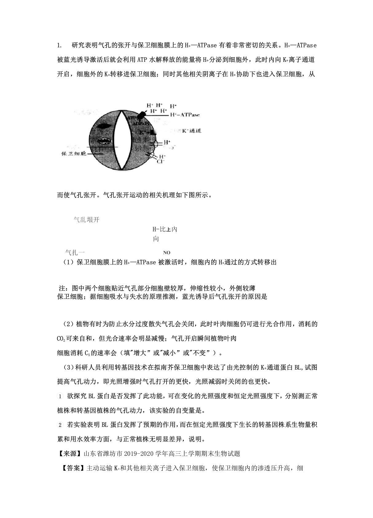 2020届高三生物光合作用呼吸作用精选题2(任)