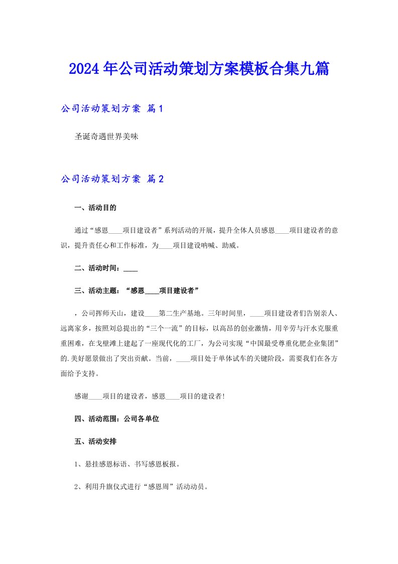 【精选模板】2024年公司活动策划方案模板合集九篇