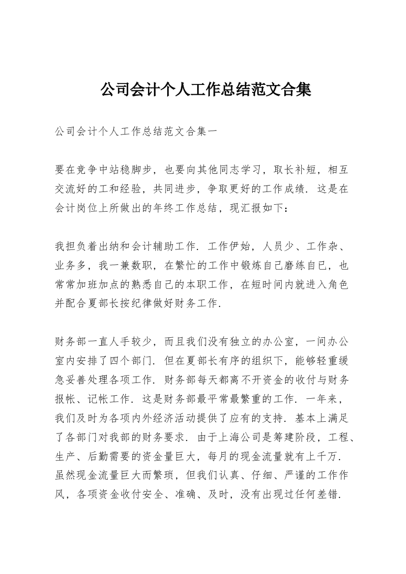 公司会计个人工作总结范文合集