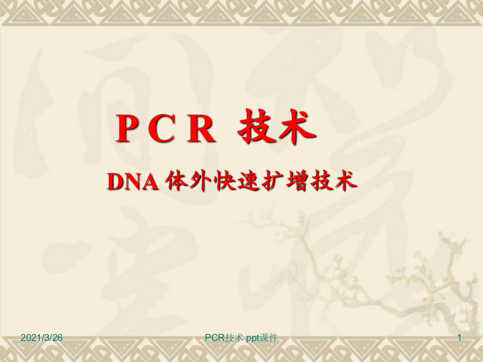 PCR技术