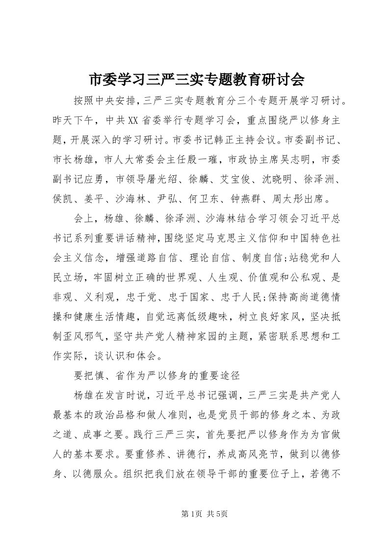 5市委学习三严三实专题教育研讨会