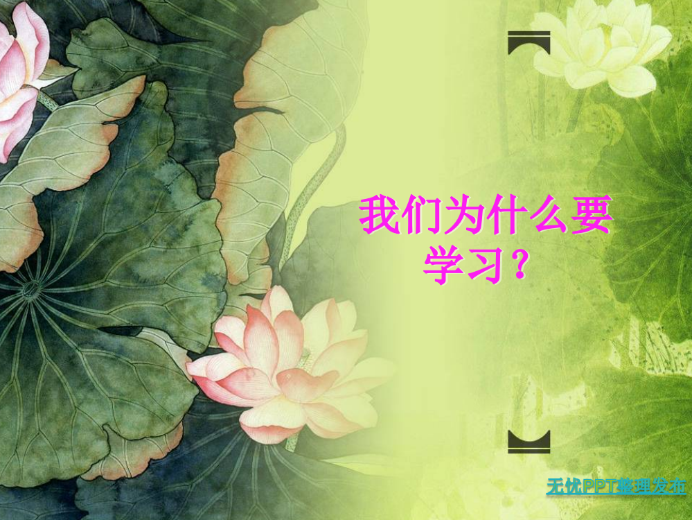 191班会——禁毒教育