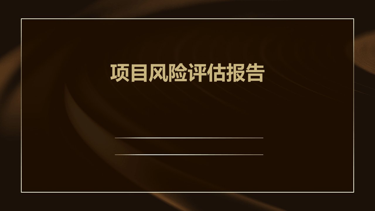 项目风险评估报告