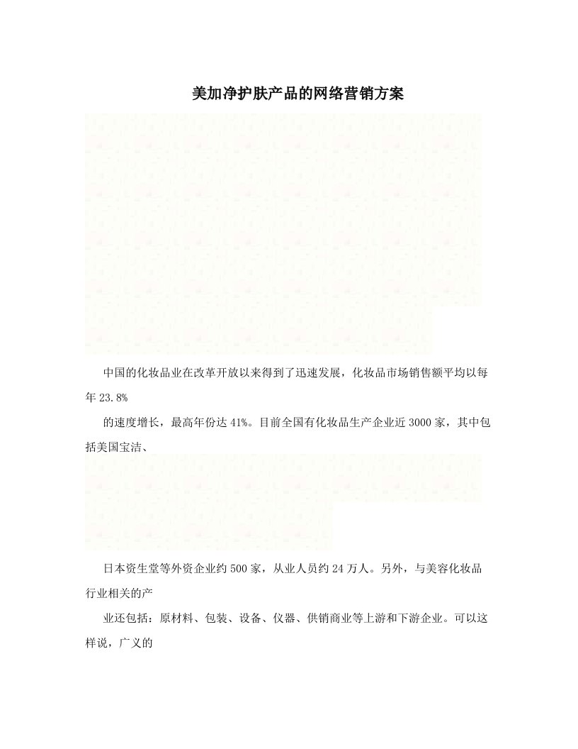 pnoAAA美加净护肤产品的网络营销方案