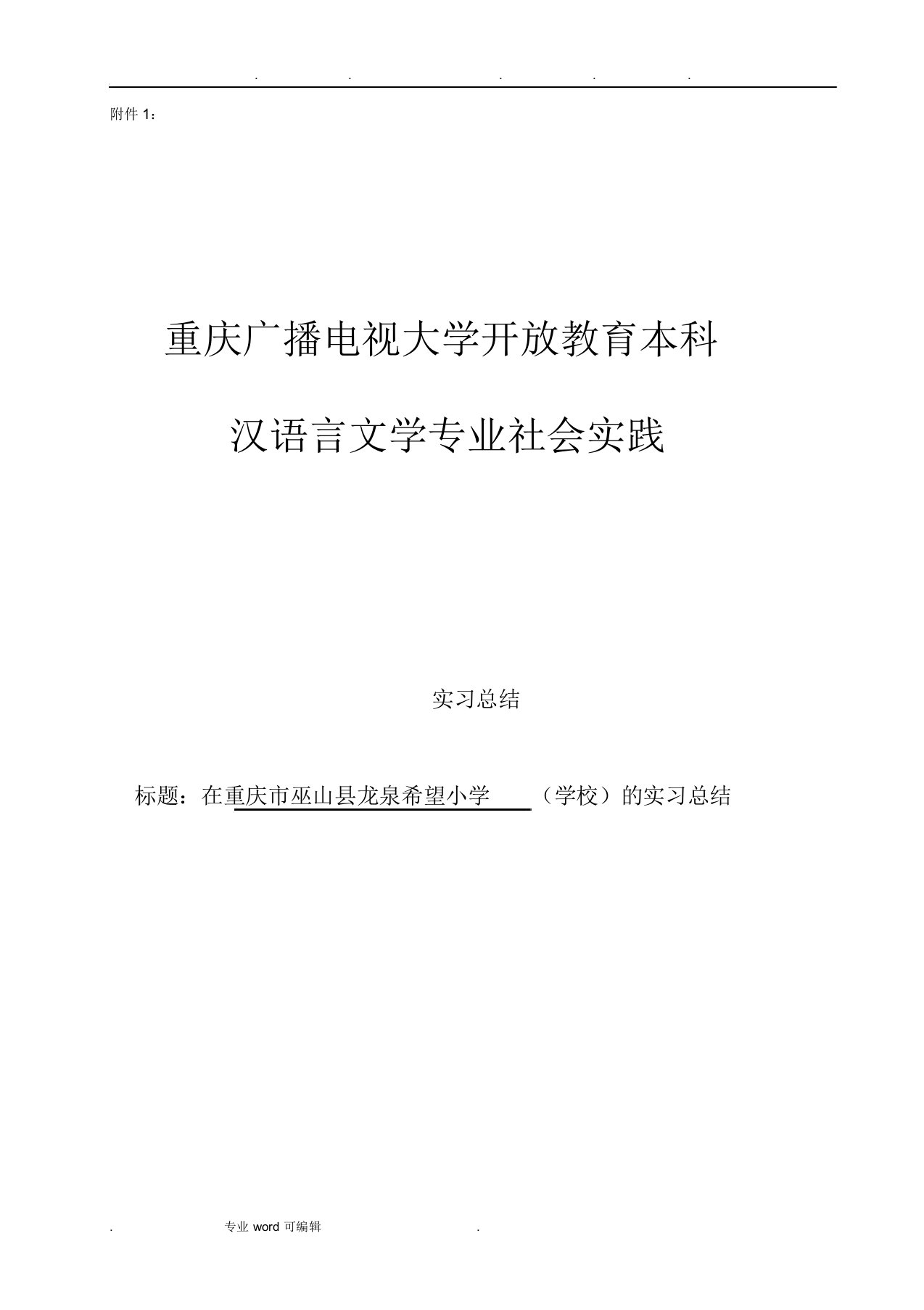 汉语言文学专业社会实践报告