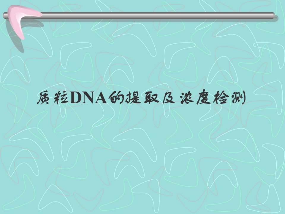 质粒DNA的提取及浓度判定