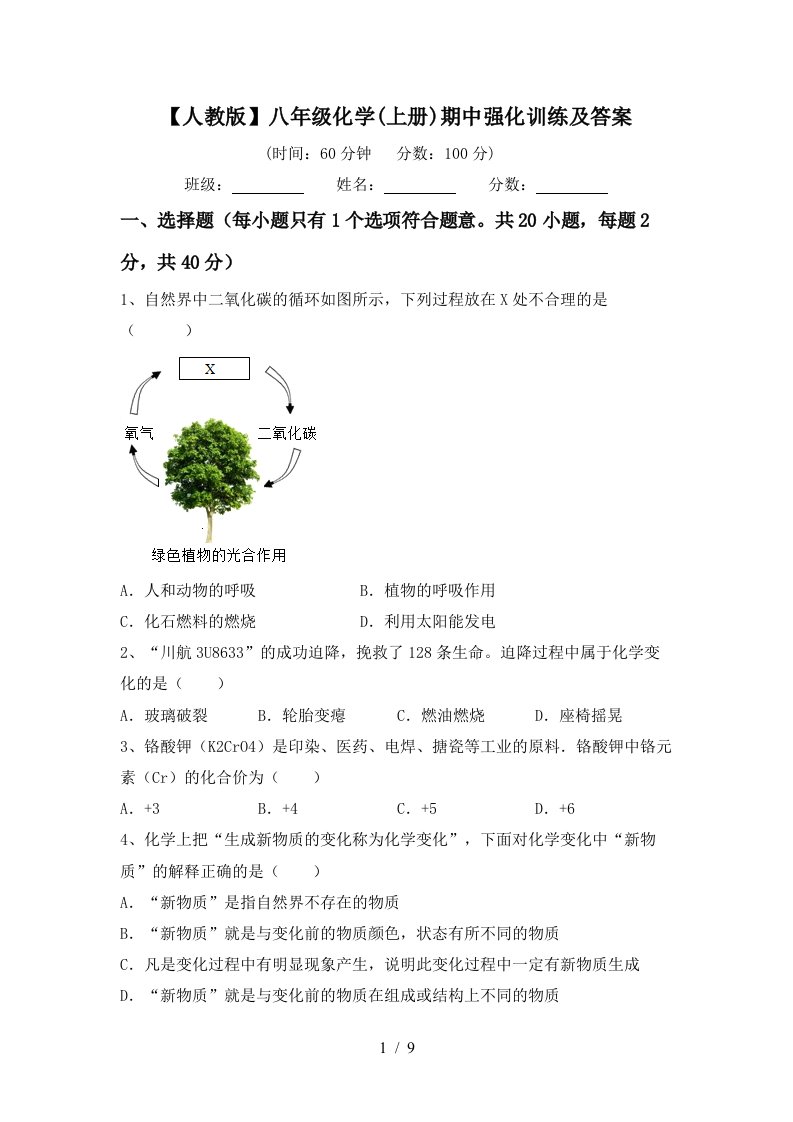 人教版八年级化学上册期中强化训练及答案