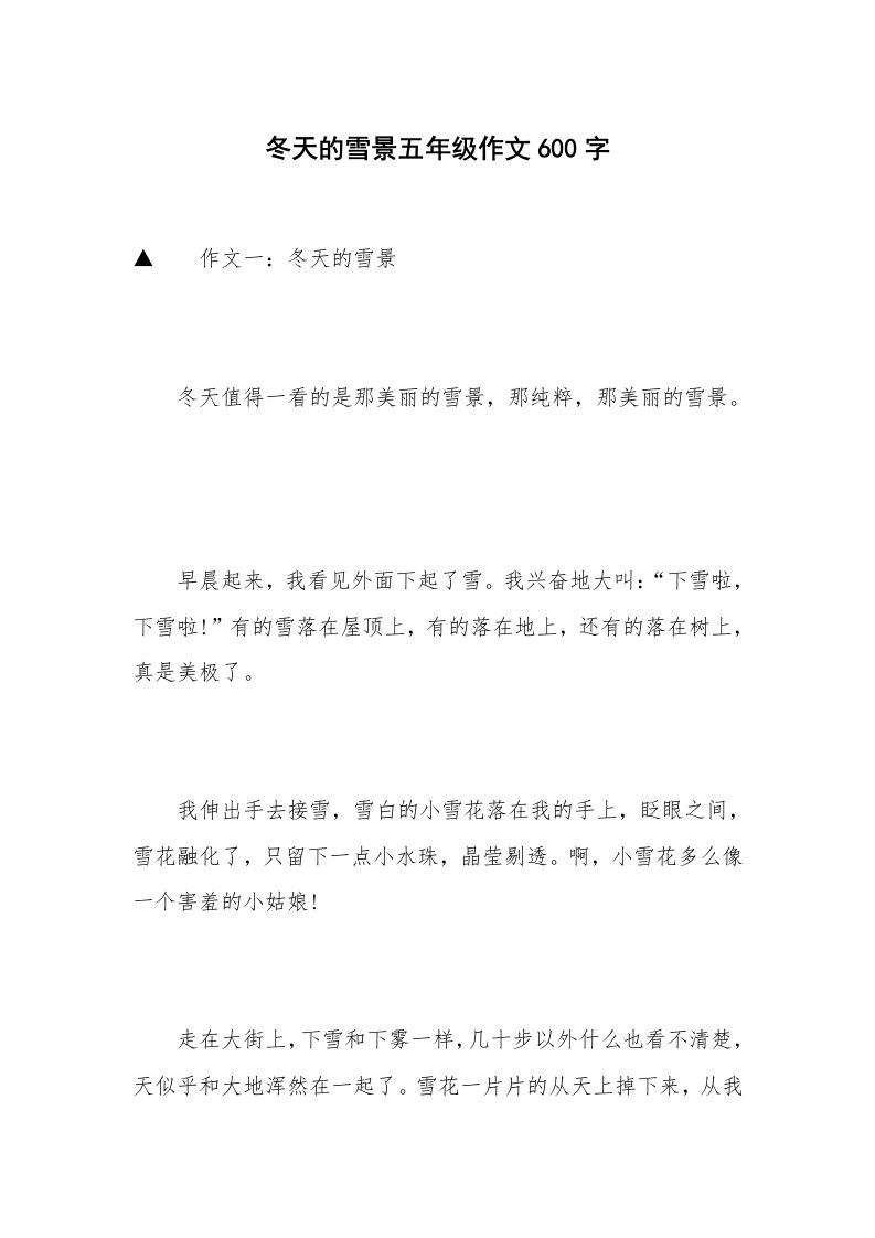 冬天的雪景五年级作文600字