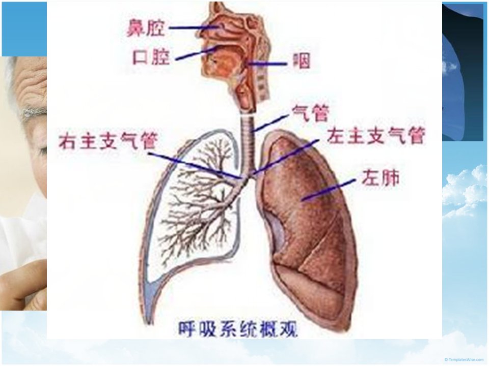 COPD健康宣教