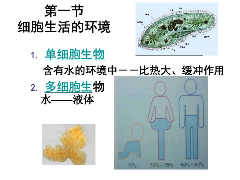 生物会考考纲编写老师的：必修3第1章人体的内环境与稳态复习课件