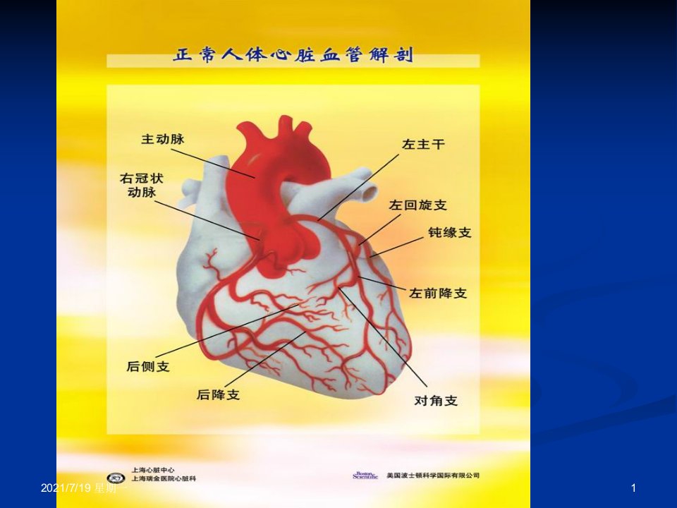 医学专题抗心绞痛药13924