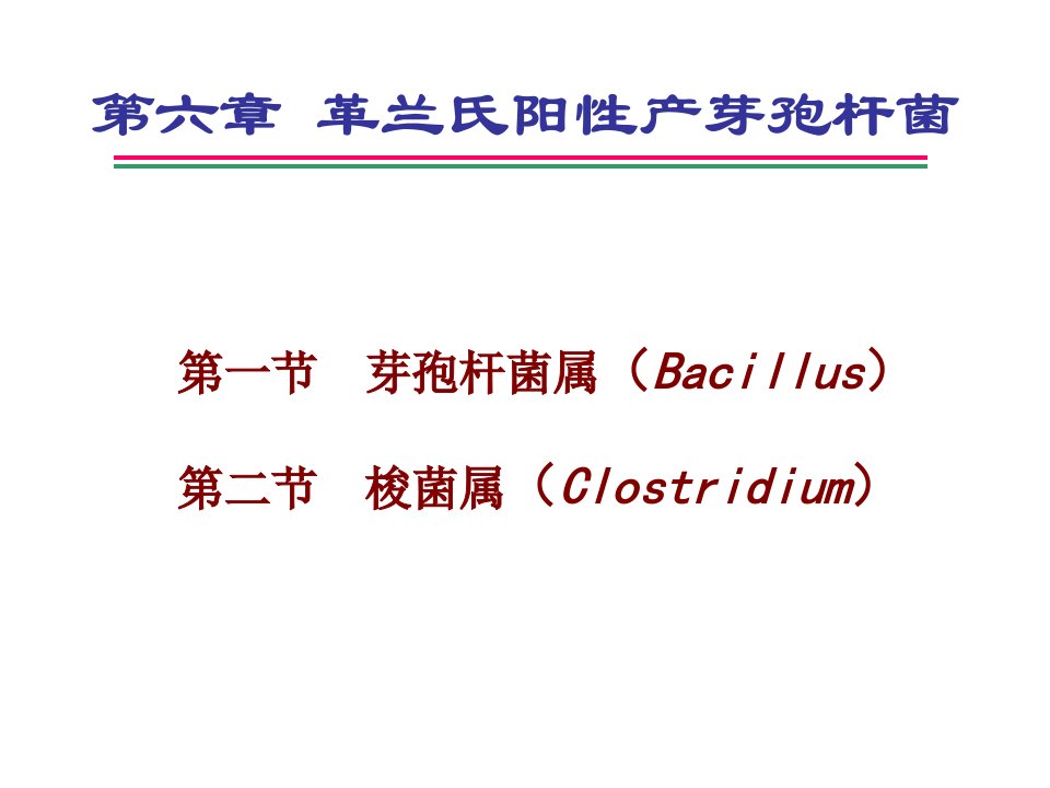 革兰氏阳性产芽孢杆菌