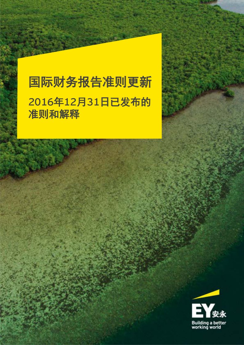 国际财务报告准则更新（2016年12月31日已发布的准则和解释）(中文版)