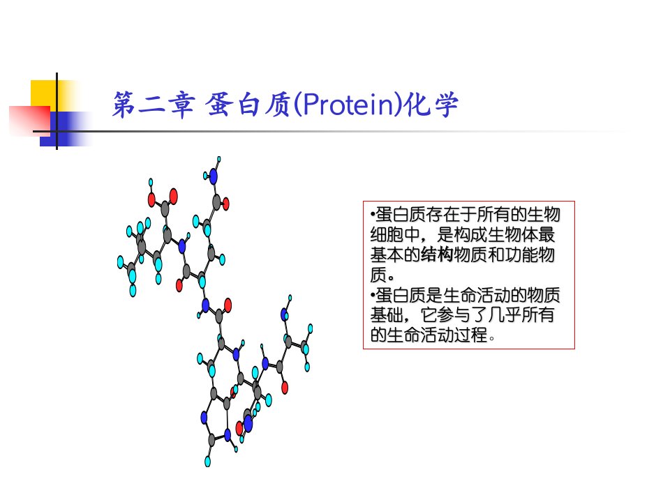 生化蛋白质化学