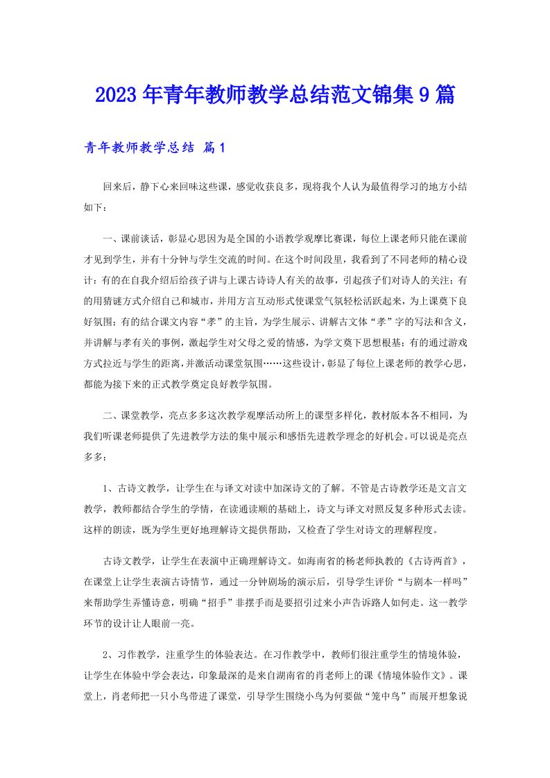 2023年青年教师教学总结范文锦集9篇