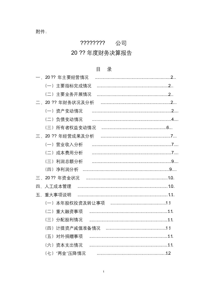 年度财务决算报告(模板)