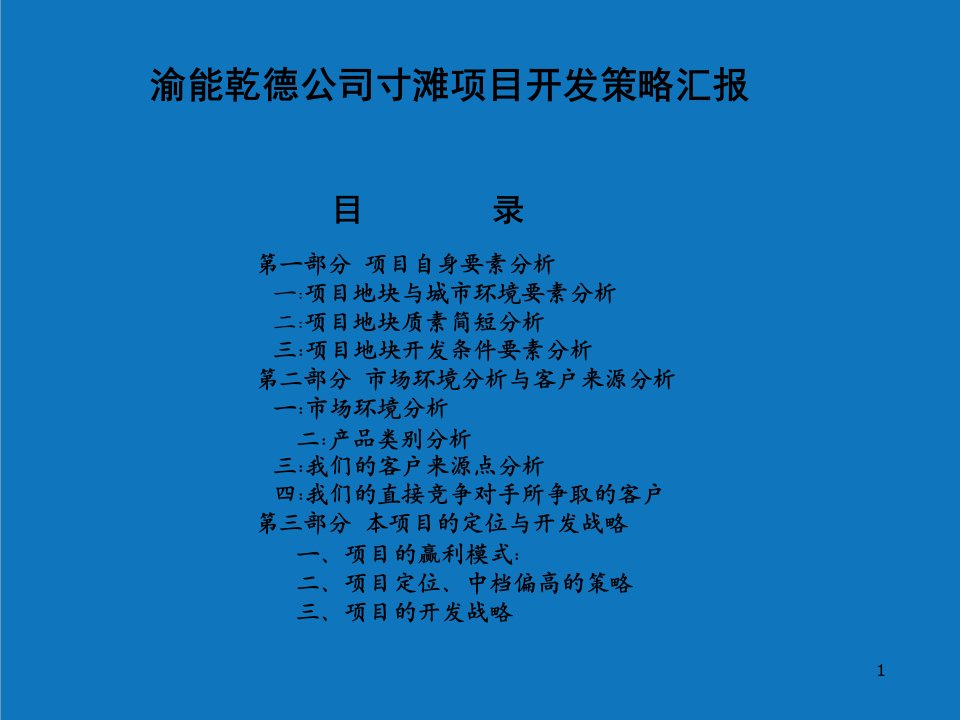 战略管理-渝能乾德公司寸滩项目开发策略汇报061031