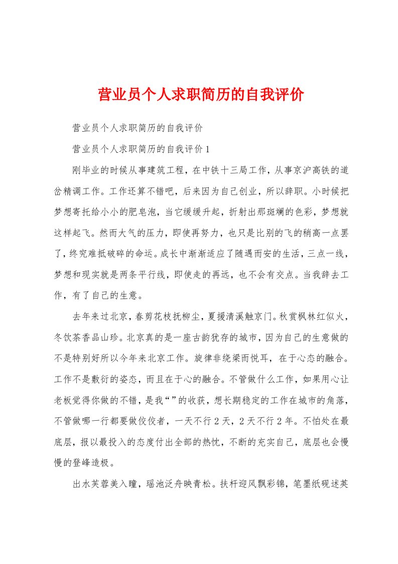 营业员个人求职简历的自我评价