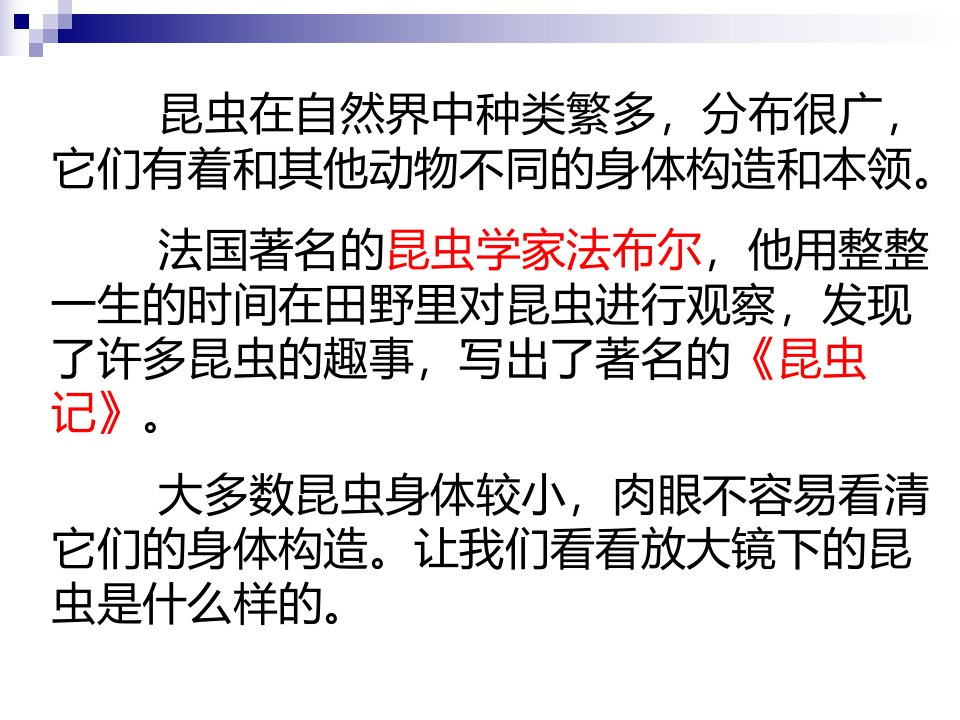 六年级科学下册课件1.2放大镜下的昆虫世界教科版共48张PPT