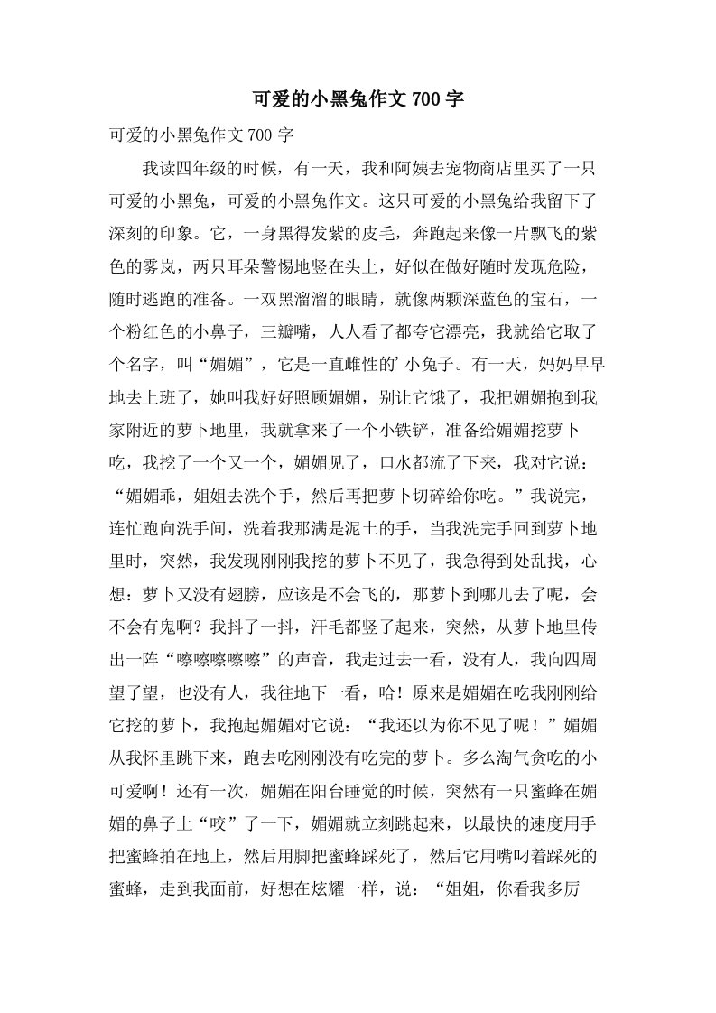 可爱的小黑兔作文700字