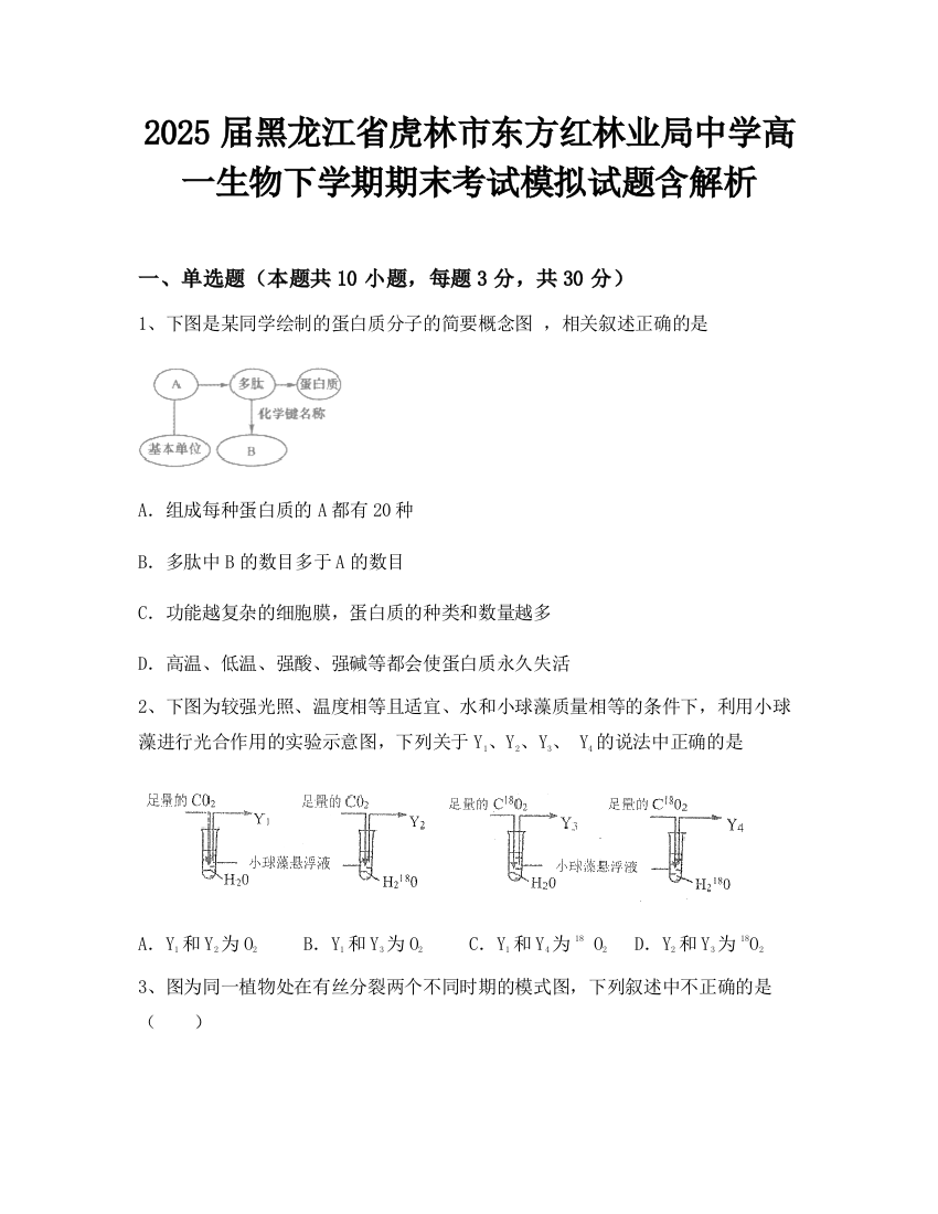 2025届黑龙江省虎林市东方红林业局中学高一生物下学期期末考试模拟试题含解析