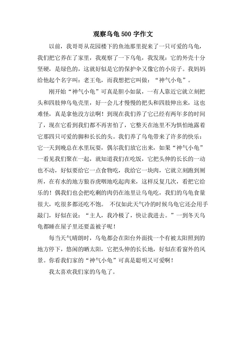 观察乌龟500字作文