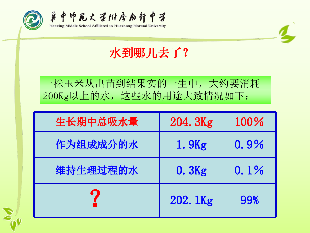 绿色植物与生物圈的水循环（第一课时）课件