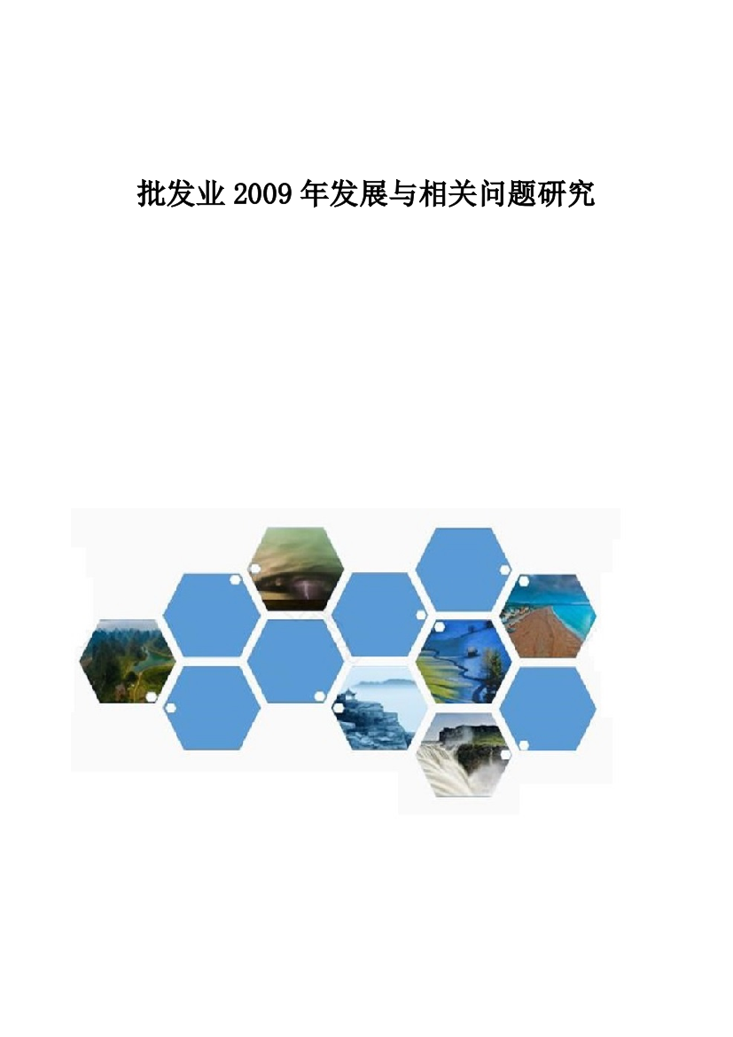 批发业2009年发展与相关问题研究