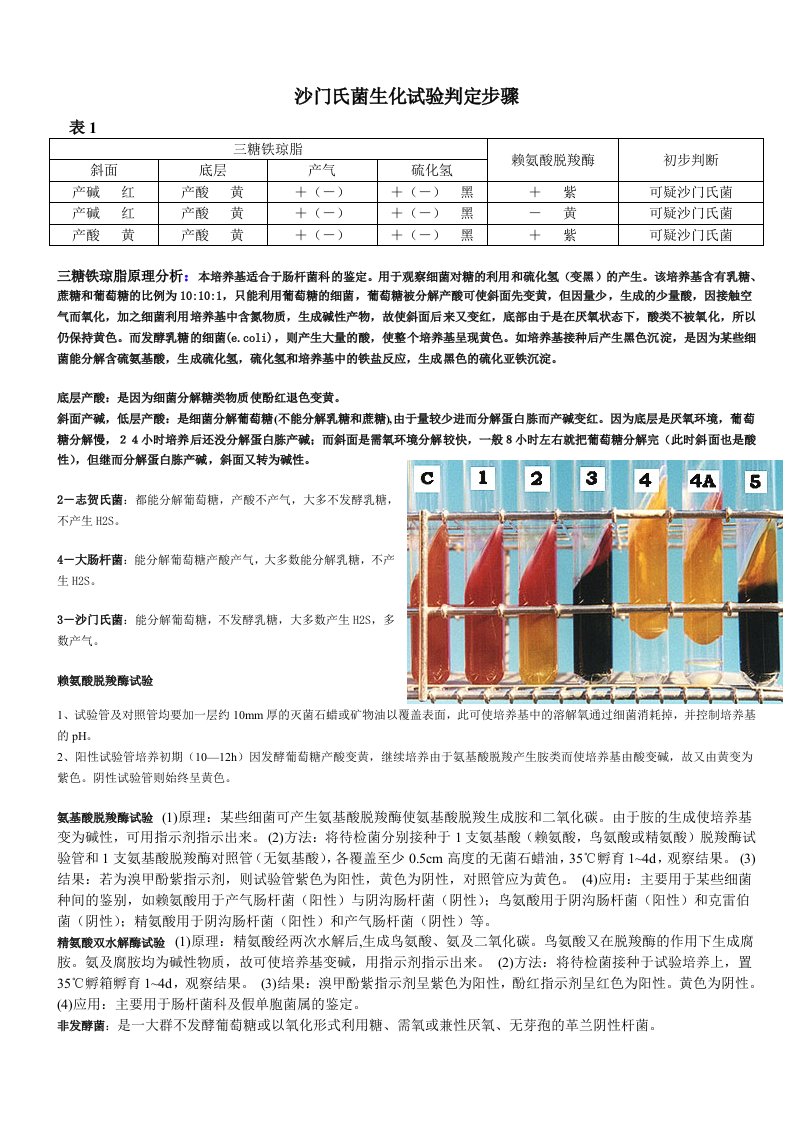 沙门氏菌生化鉴定