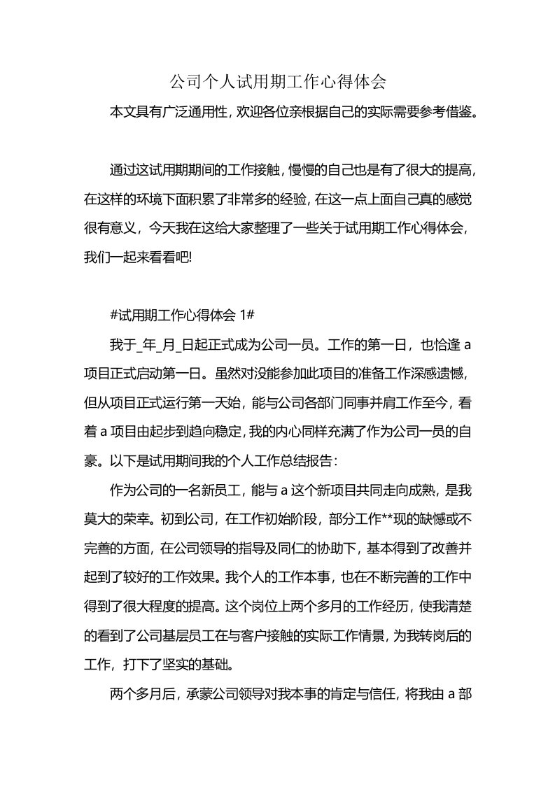 公司个人试用期工作心得体会