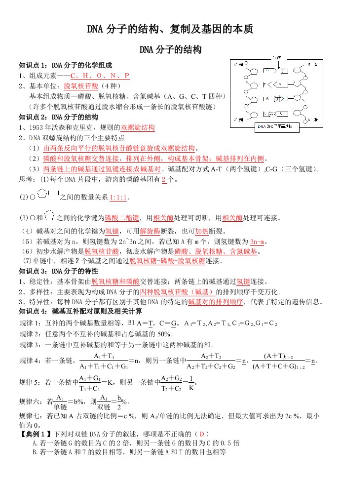 DNA分子的结构复制及基因的本质一轮复习教学案教师版