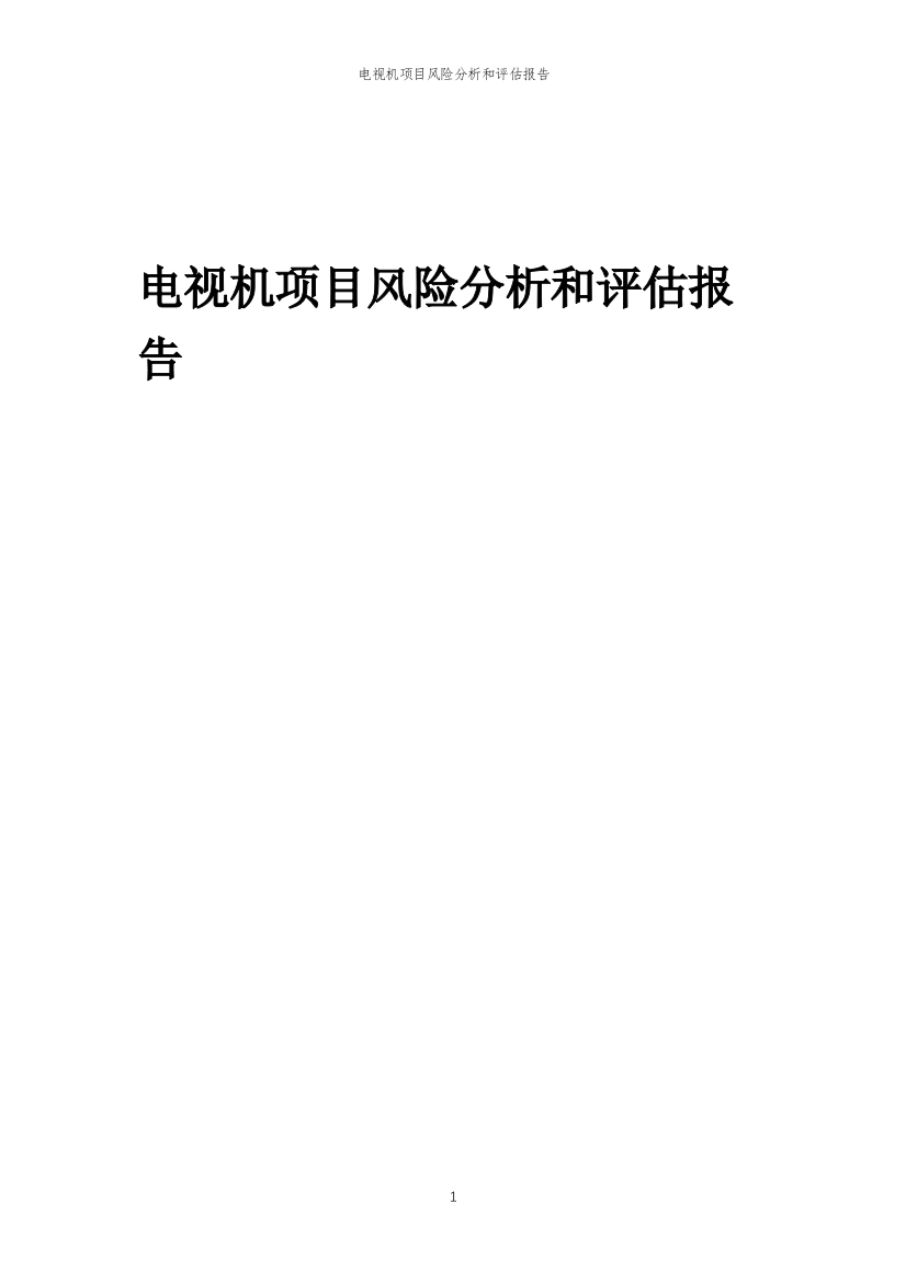 电视机项目风险分析和评估报告