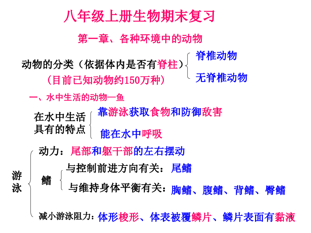 八年级上册生物期末复习提纲-初二生物ppt课件PPT课件