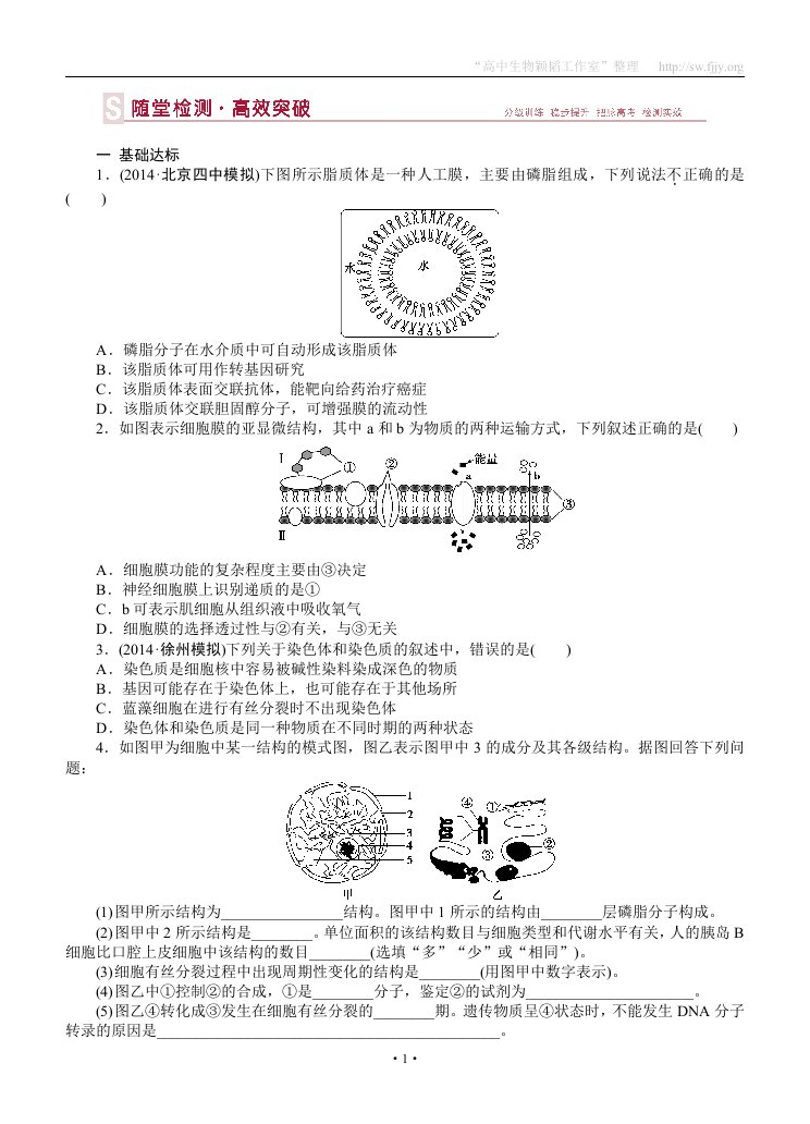 2015届《优化方案》高考生物（苏教版）一轮随堂检测：第05讲细胞的类型和结构（一）——细胞膜、细胞壁与细胞核