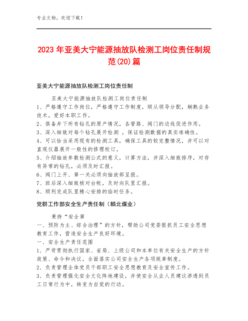 2023年亚美大宁能源抽放队检测工岗位责任制规范(20)篇