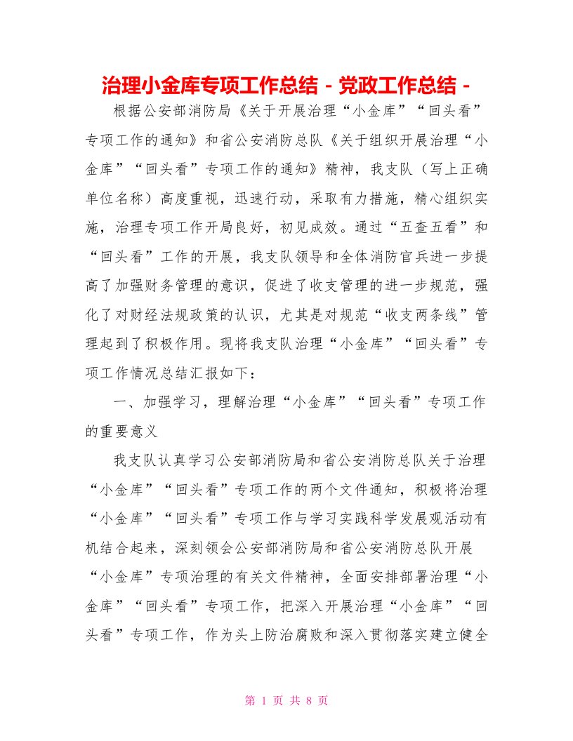 治理小金库专项工作总结党政工作总结