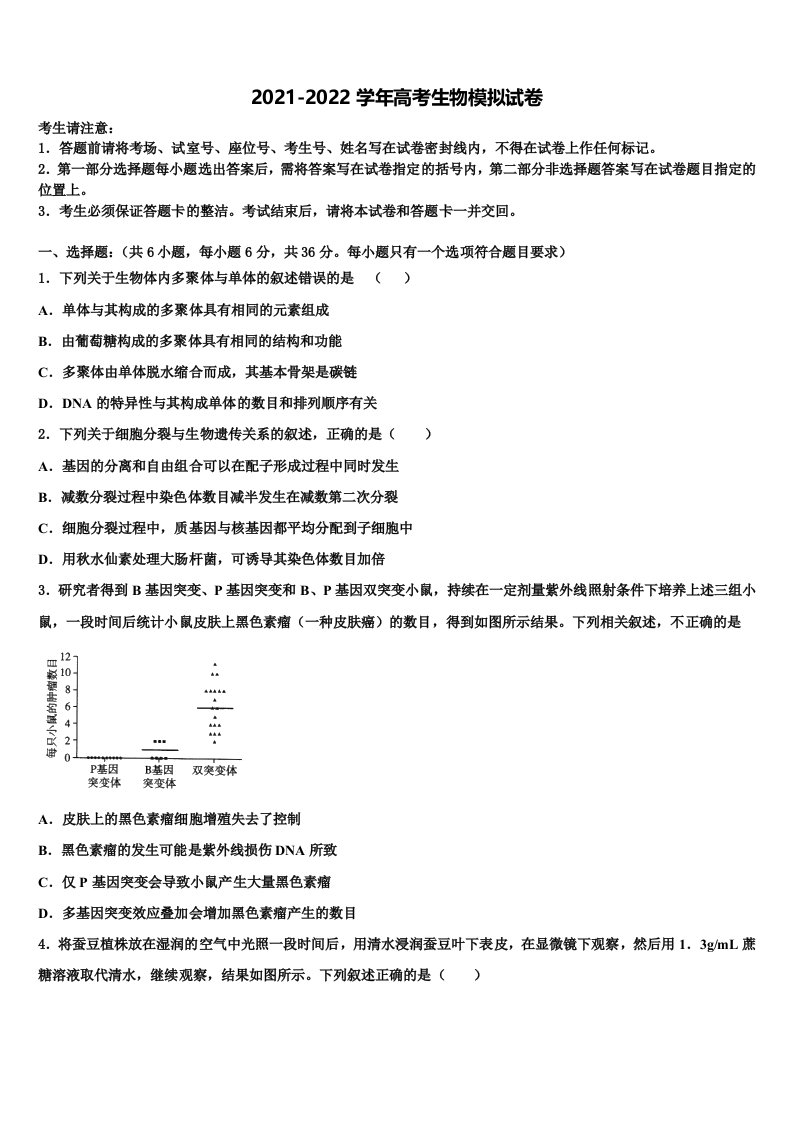 2022届陕西铜川市同官高级中学高三下第一次测试生物试题含解析