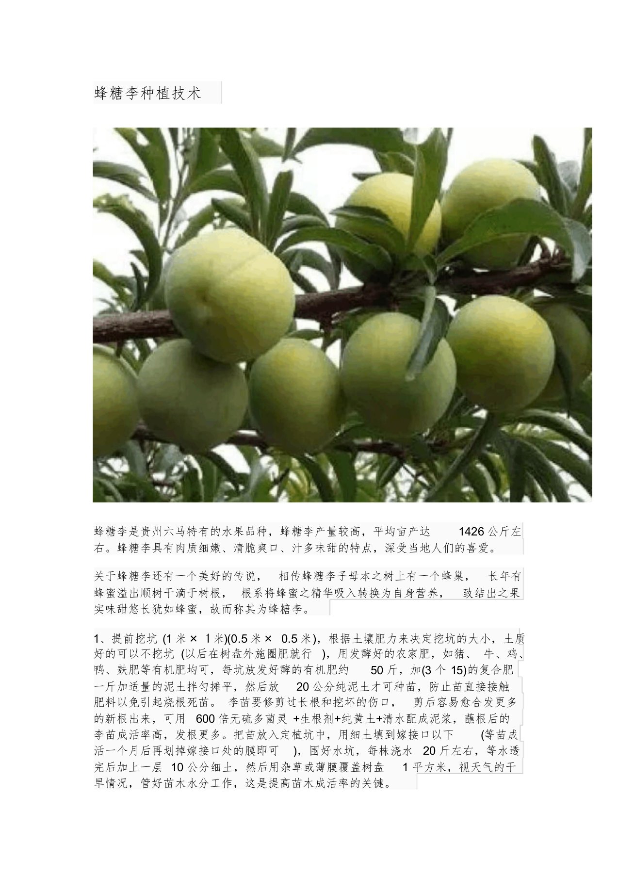 蜂糖李种植技术