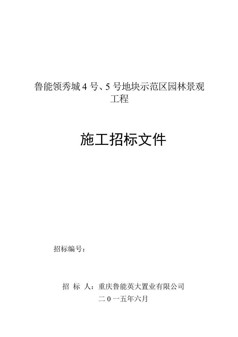 《鲁能领秀城4号5号地块示范区园林景观工程招标文件》